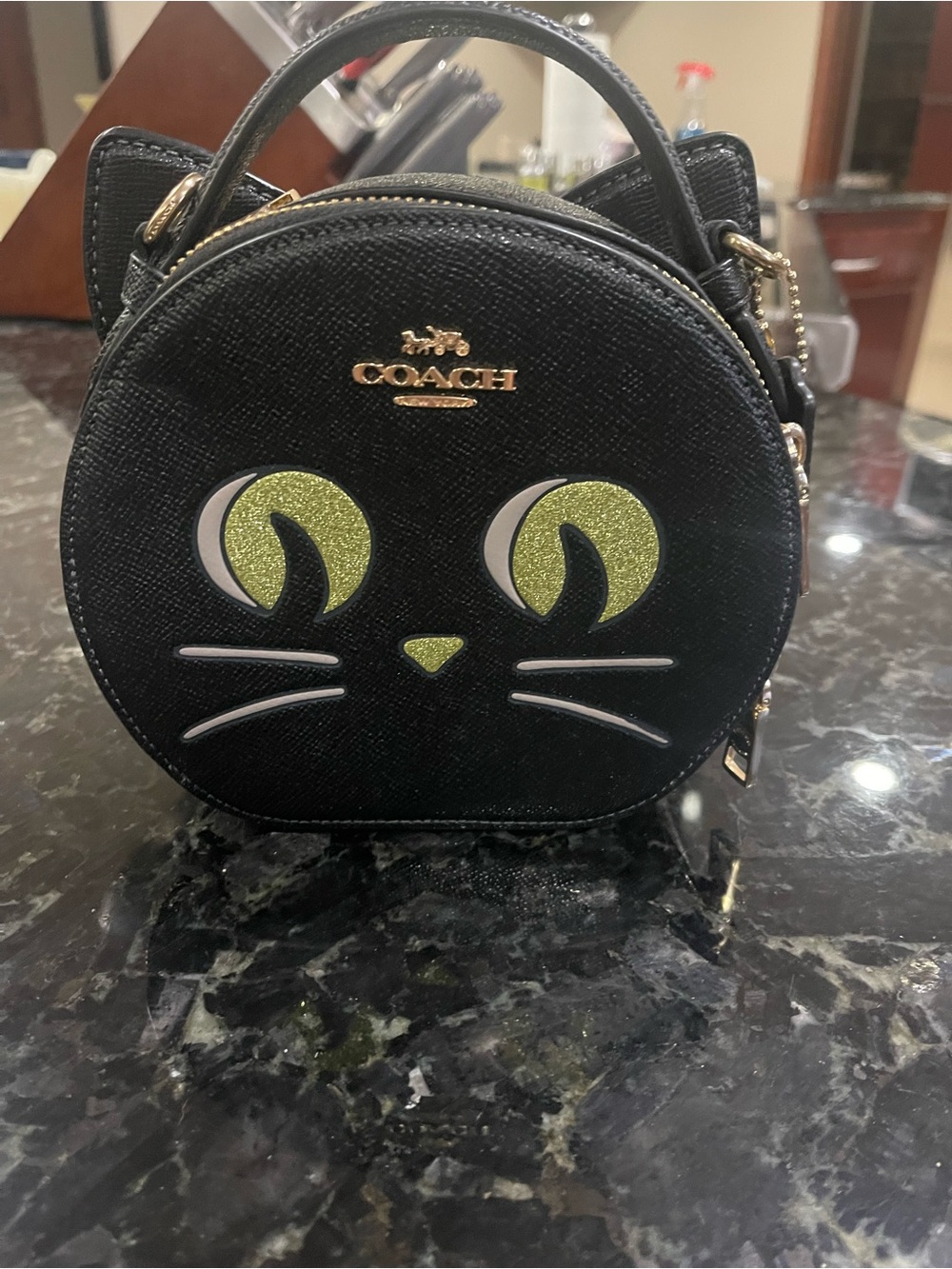 COACH New Black Cat Purse